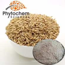20% -80% Avena Sativa L/Oat Seeds Extract Beta Glucan Powder